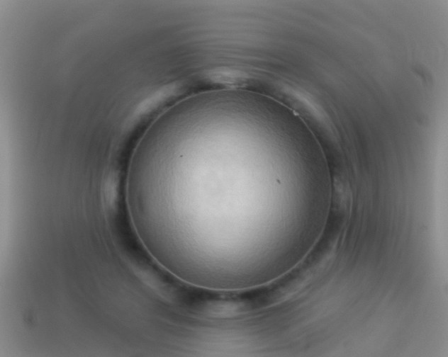 X0000114020404200910091418