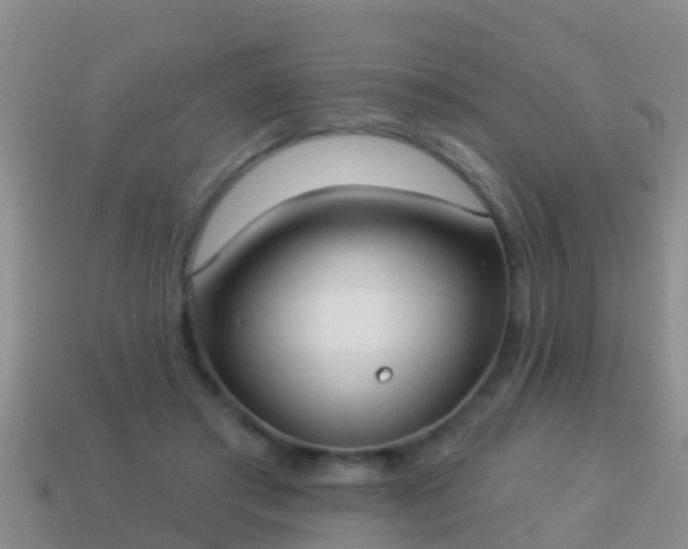 X0000114020405200910091418