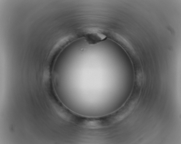 X0000114020407200910091418