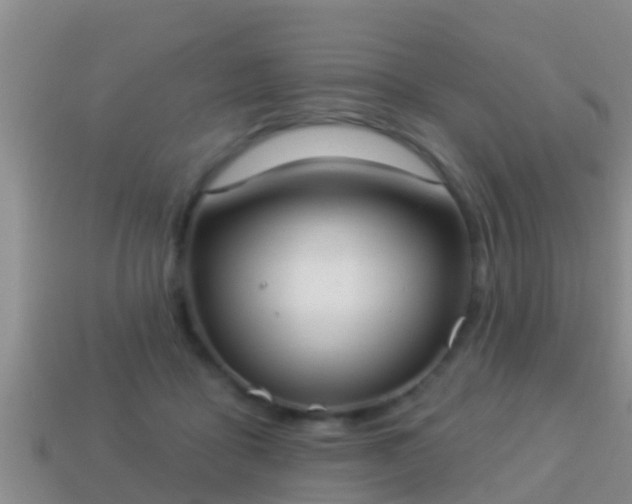 X0000114020411200910091418