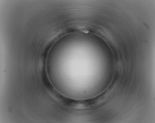 X0000114020412200910091418