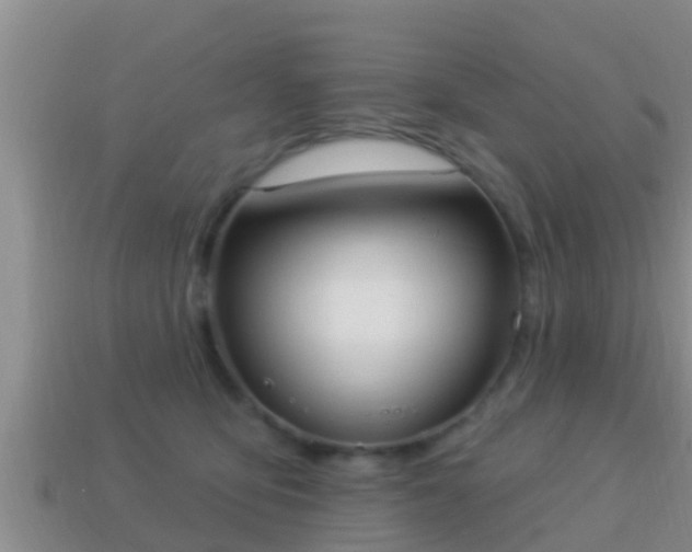 X0000114020419200910091418