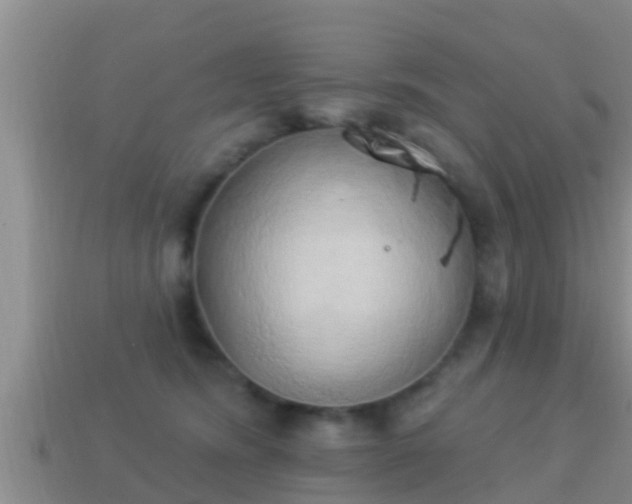 X0000114020420200910091418