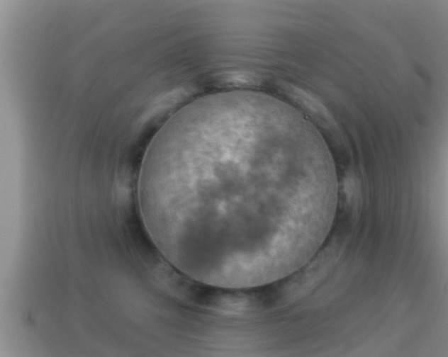 X0000114020423200910091418