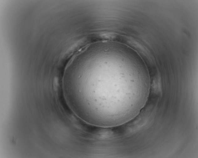 X0000114020424200910091418