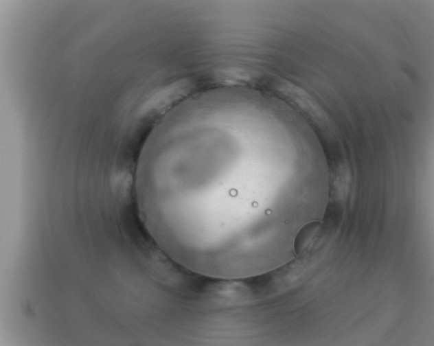 X0000114020427200910091418