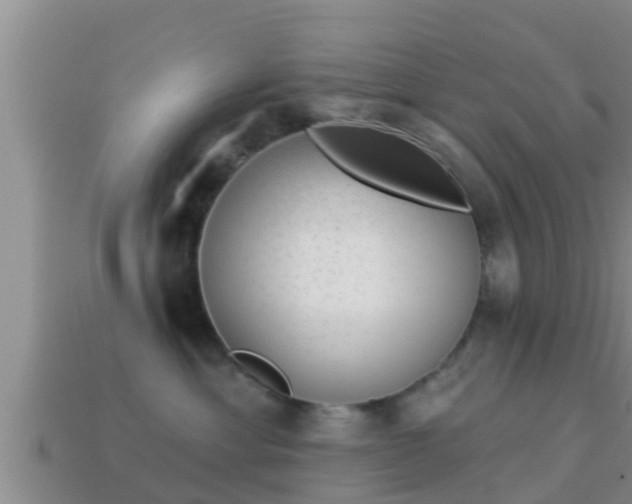 X0000114020429200910091418