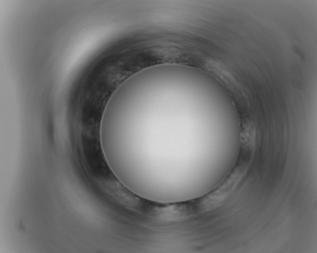 X0000114020430200910091417