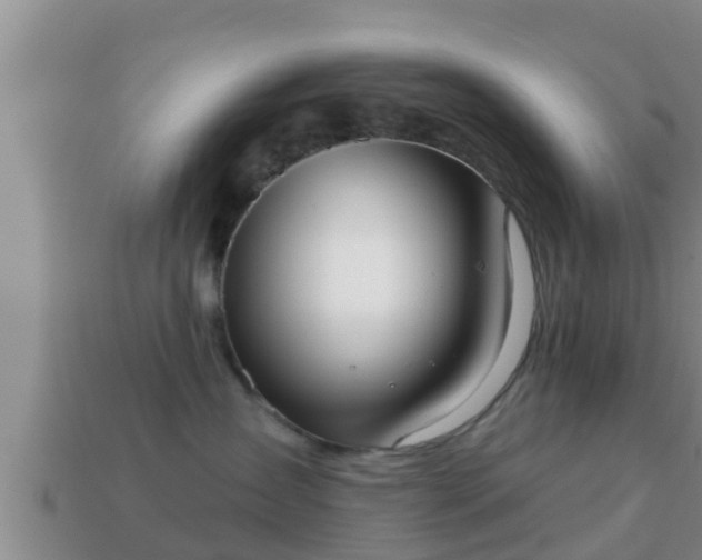 X0000114020431200910091417