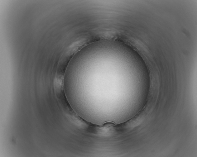 X0000114020432200910091417