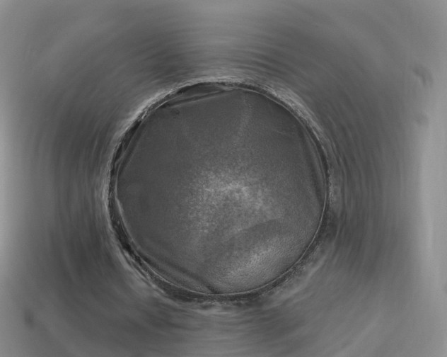 X0000114020434200910091417