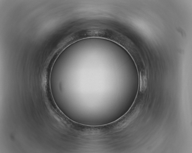 X0000114020435200910091417