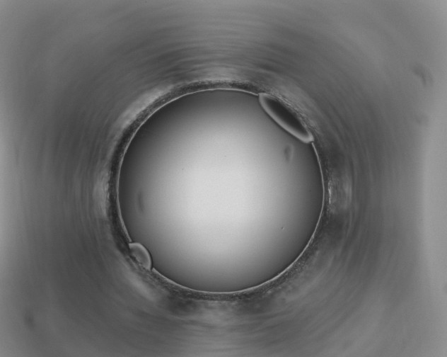 X0000114020436200910091417