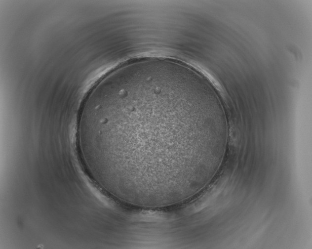 X0000114020437200910091417