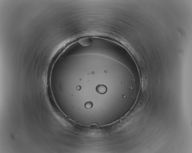 X0000114020438200910091417