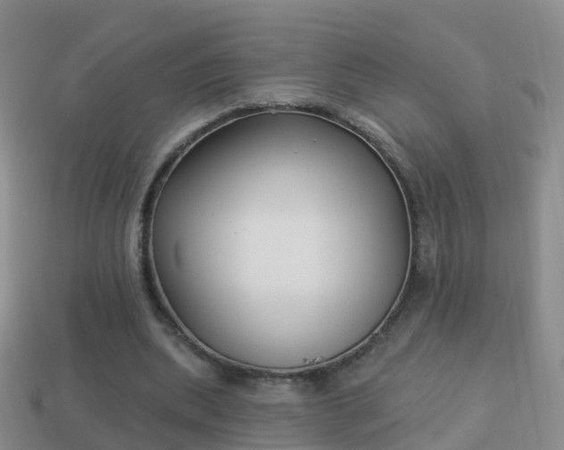 X0000114020439200910091417