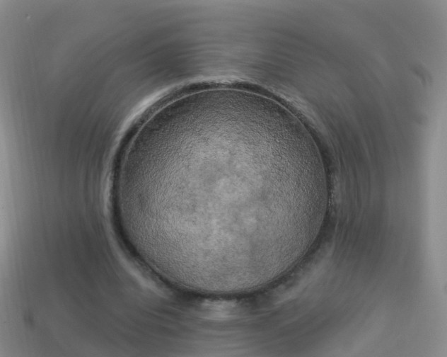 X0000114020440200910091417