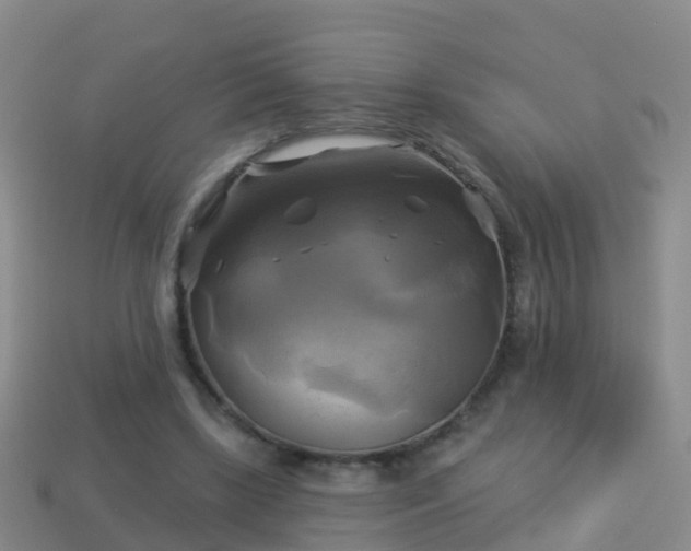 X0000114020443200910091417