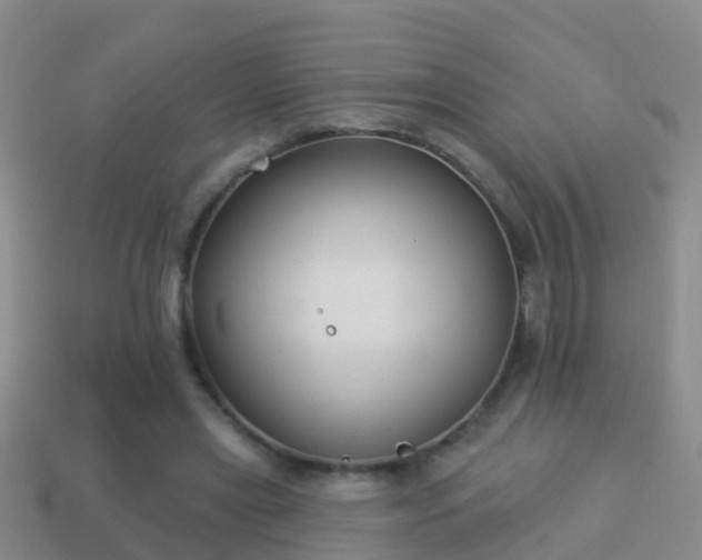 X0000114020445200910091417