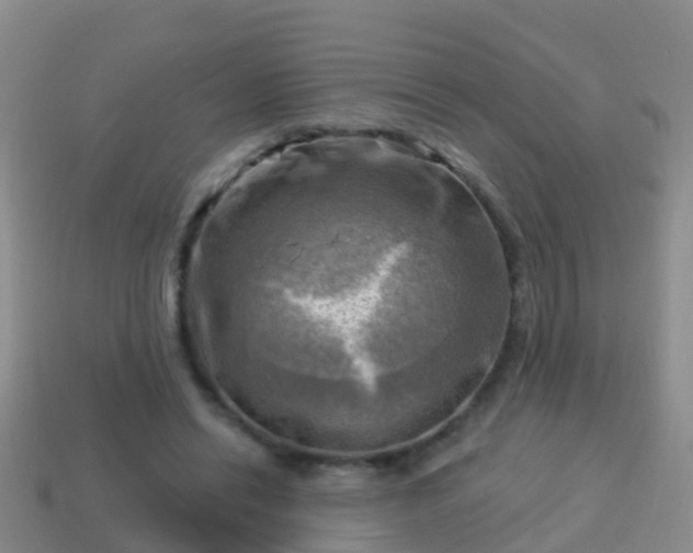 X0000114020446200910091417