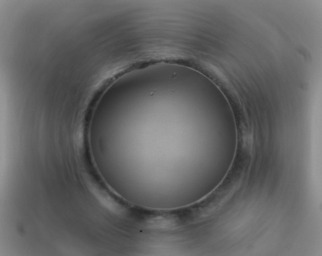 X0000114020447200910091417