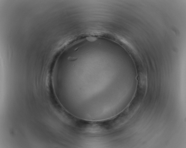 X0000114020451200910091417