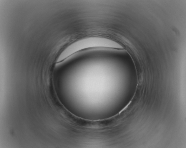 X0000114020452200910091417