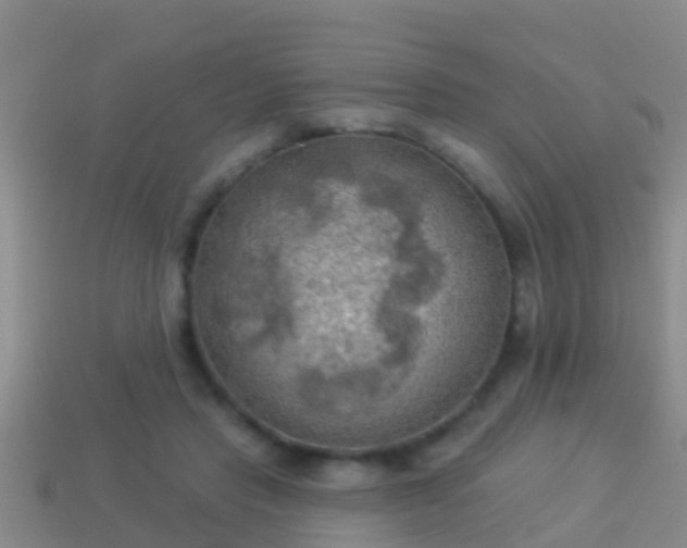 X0000114020453200910091417