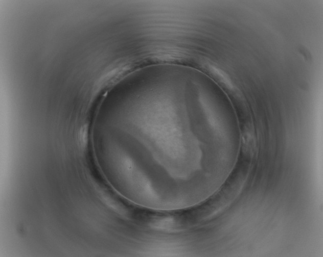 X0000114020454200910091417