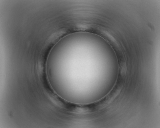 X0000114020455200910091417