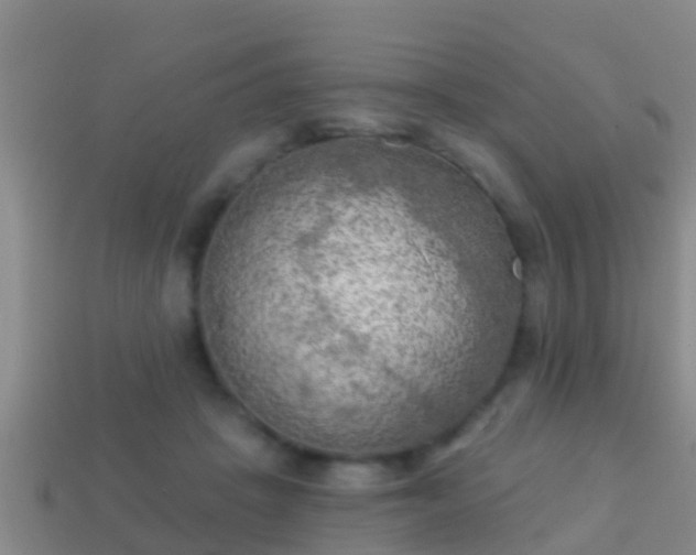 X0000114020457200910091417