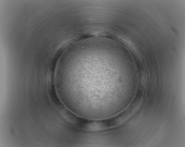 X0000114020461200910091417