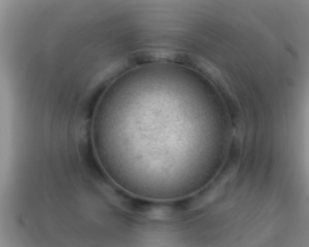 X0000114020462200910091417