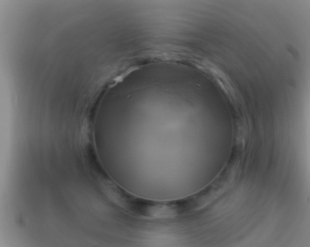 X0000114020465200910091417