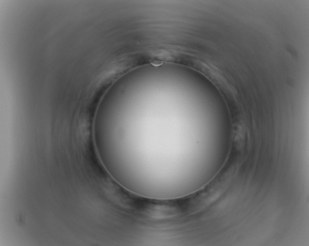 X0000114020466200910091417