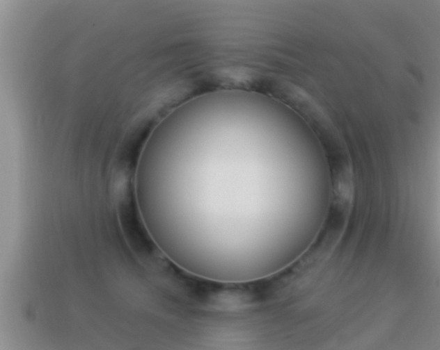 X0000114020468200910091417