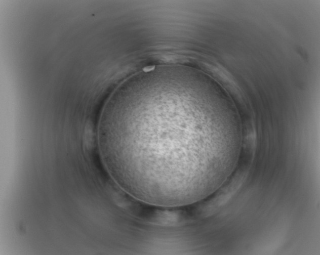 X0000114020469200910091417