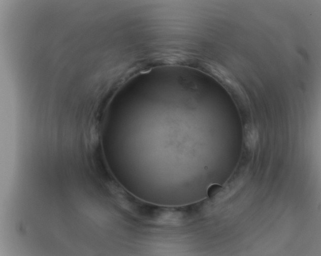 X0000114020471200910091417