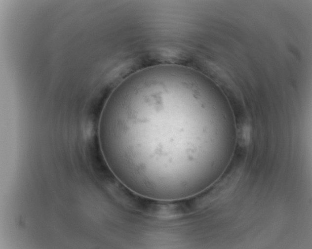 X0000114020472200910091417