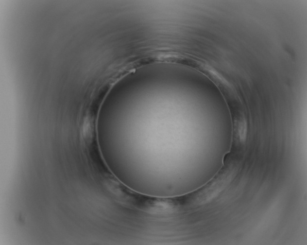 X0000114020475200910091417