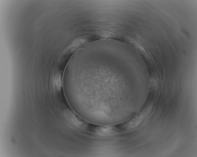 X0000114020479200910091417