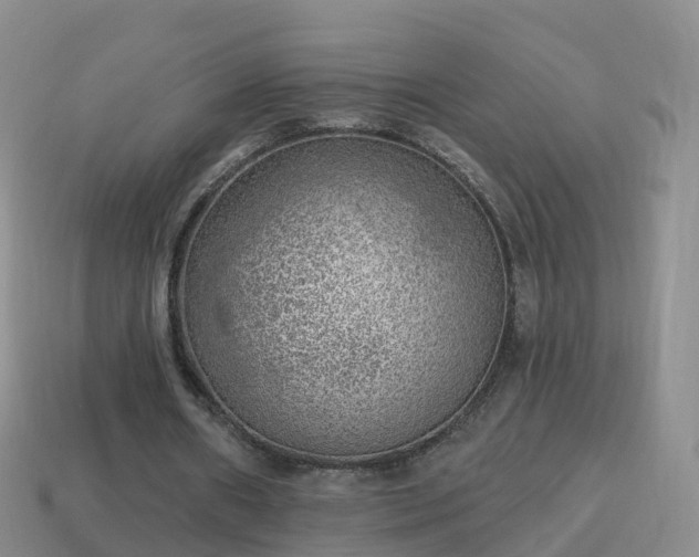 X0000114020482200910091417