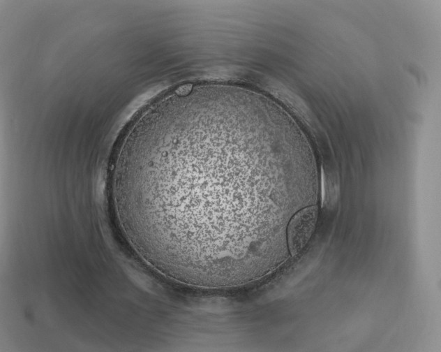 X0000114020483200910091417