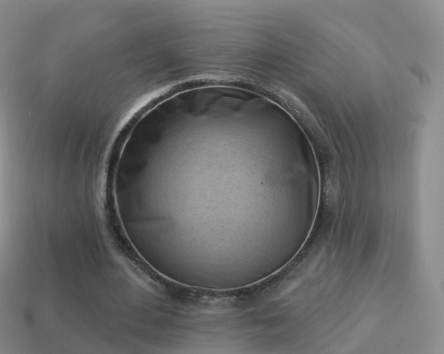 X0000114020484200910091417