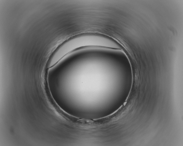 X0000114020485200910091417