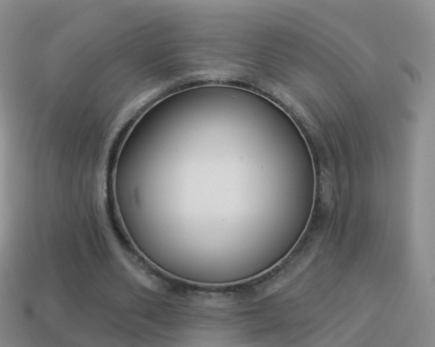 X0000114020486200910091417