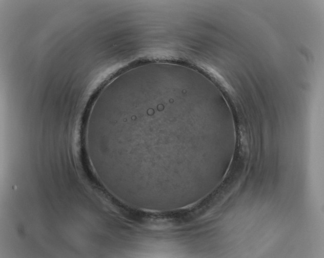 X0000114020487200910091417