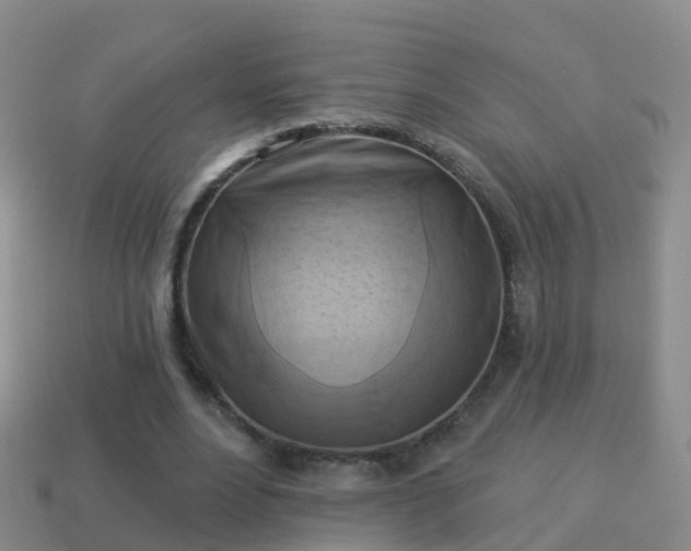 X0000114020488200910091417