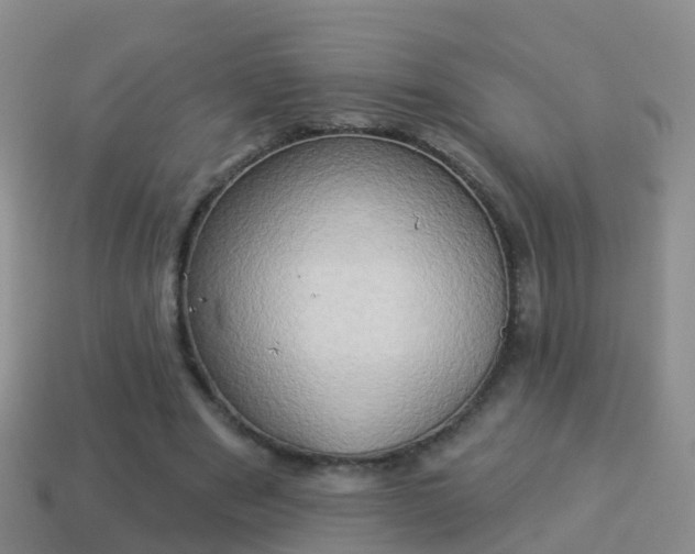 X0000114020489200910091417