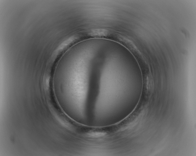 X0000114020491200910091417